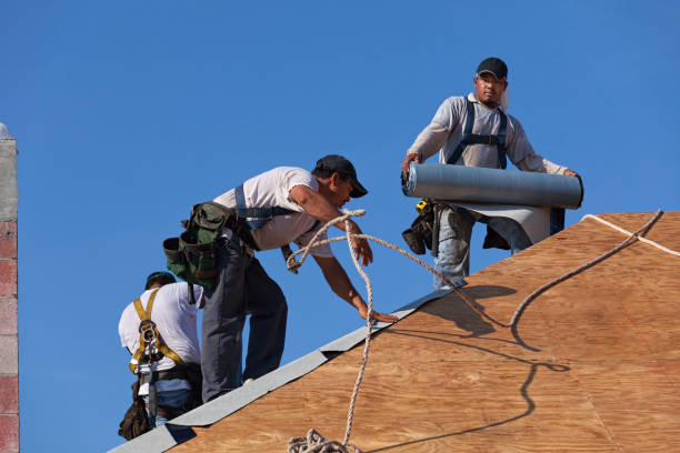 Best Storm Damage Roof Repair  in Pleasant Garden, NC